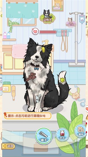 糖果猫