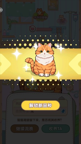 糖果猫