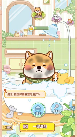 糖果猫