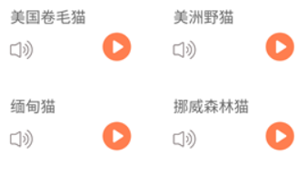 仓鼠翻译器