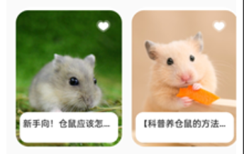 仓鼠翻译器