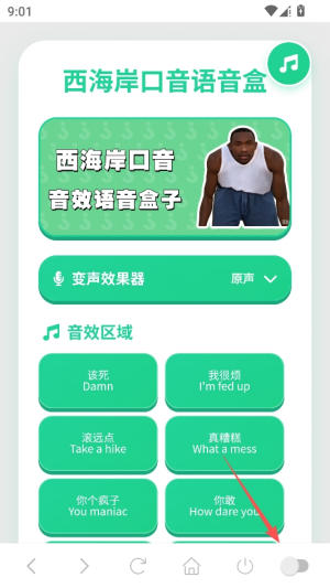 西海岸口音语音盒