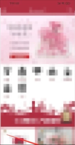 Rosewin鲜花