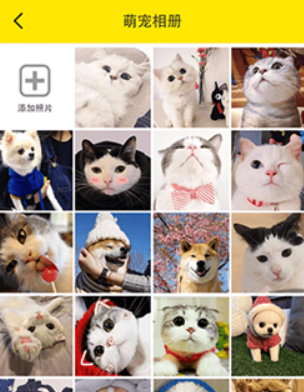 猫语交流翻译器app