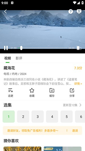 白鸟影评