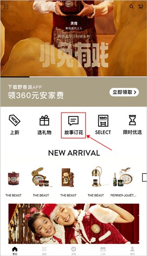 野兽派鲜花