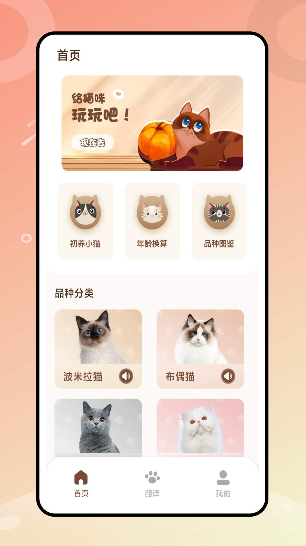 逗猫神器