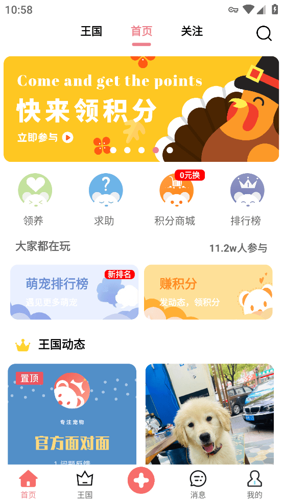 宠物王国