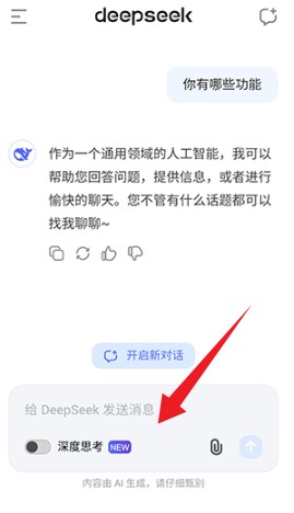 DeepSeek AI助手