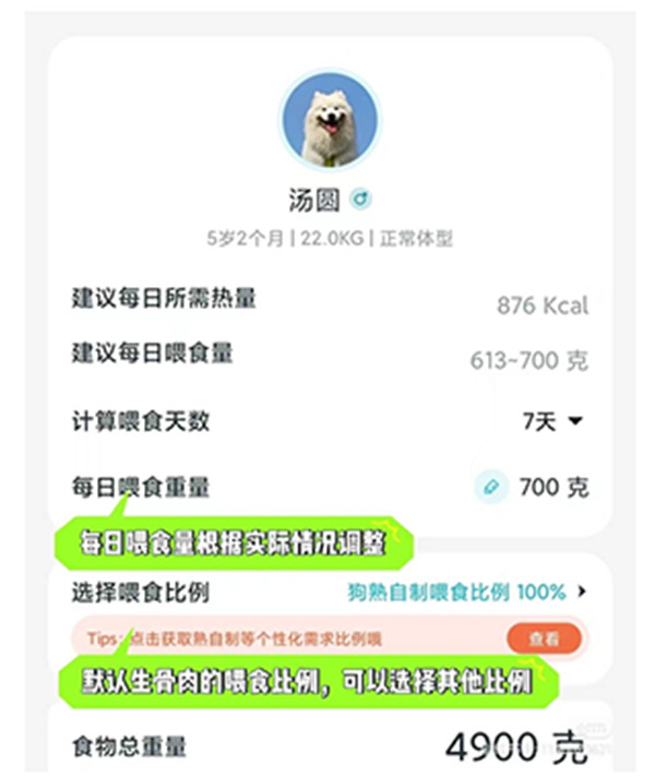 嗷呜猫狗食谱