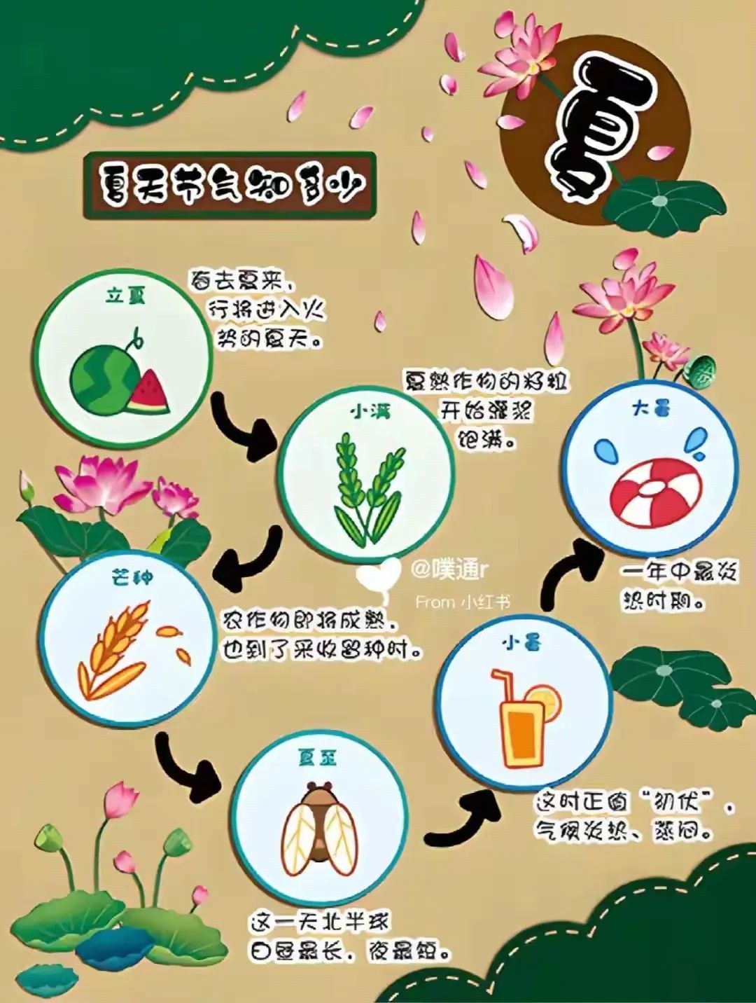 二十四节气日历