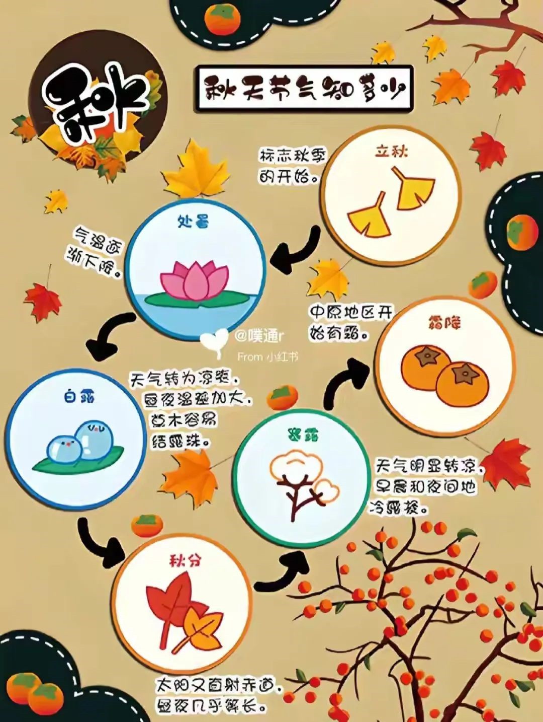 二十四节气日历