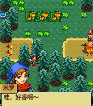 宠物王国4白金