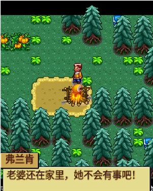 宠物王国4白金