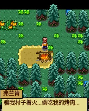 宠物王国4白金