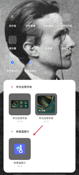 标准温度计手机版