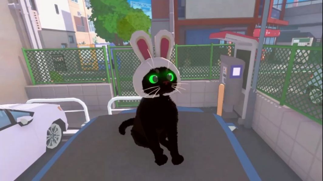 大城小猫模拟器