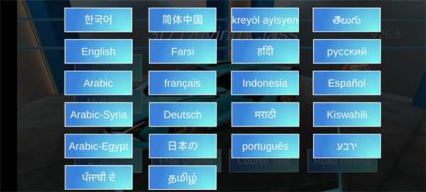 3D驾驶课中文版