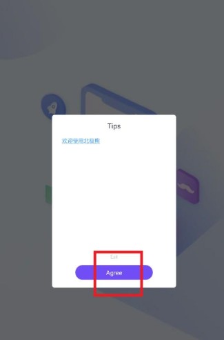 灰熊直装