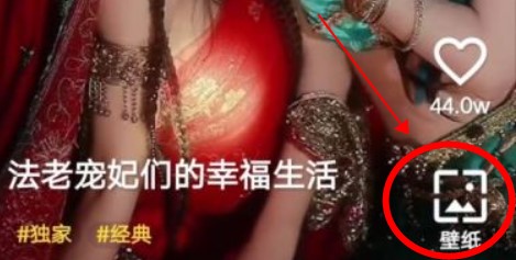 豹壁纸app