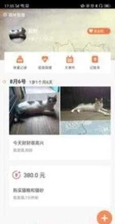 有猫