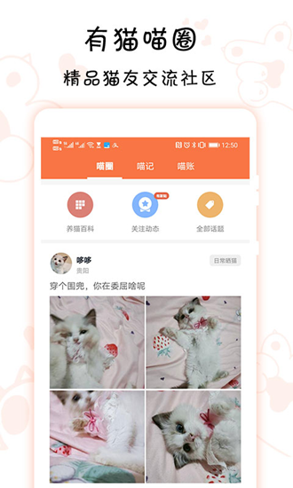 有猫