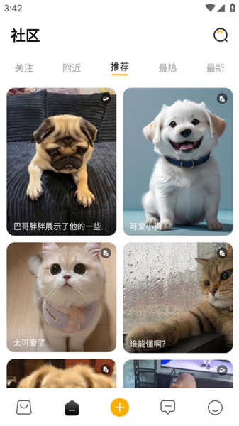 宠物元