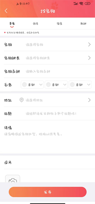 懒洋葱