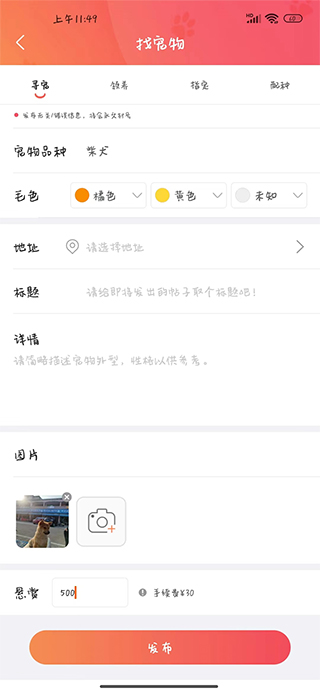 懒洋葱