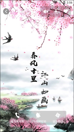 酷乐队
