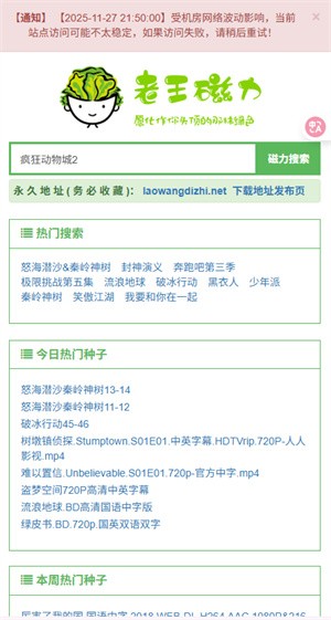 老王磁力使用教程-1
