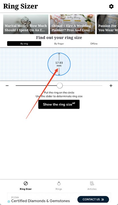ring sizer内购版