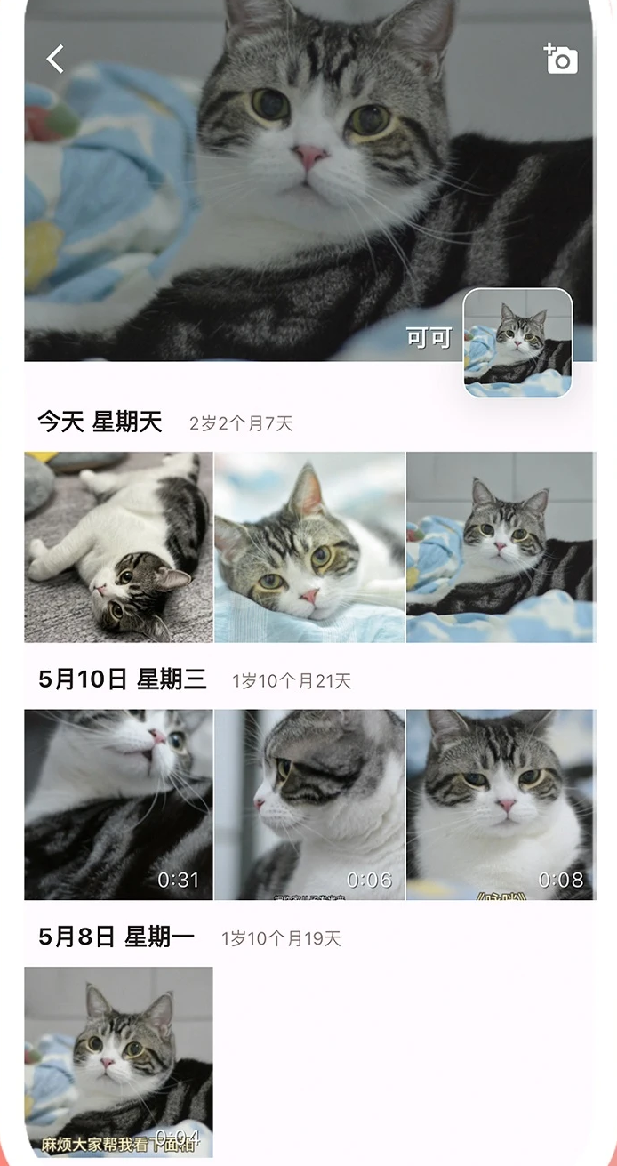 有宠