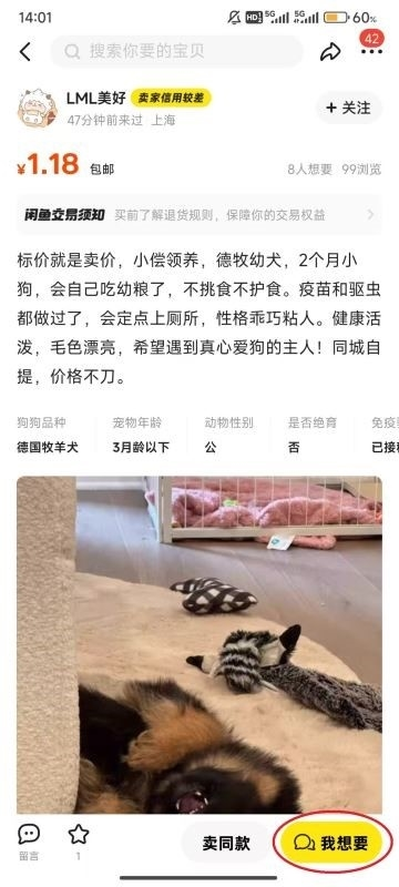 闲鱼app