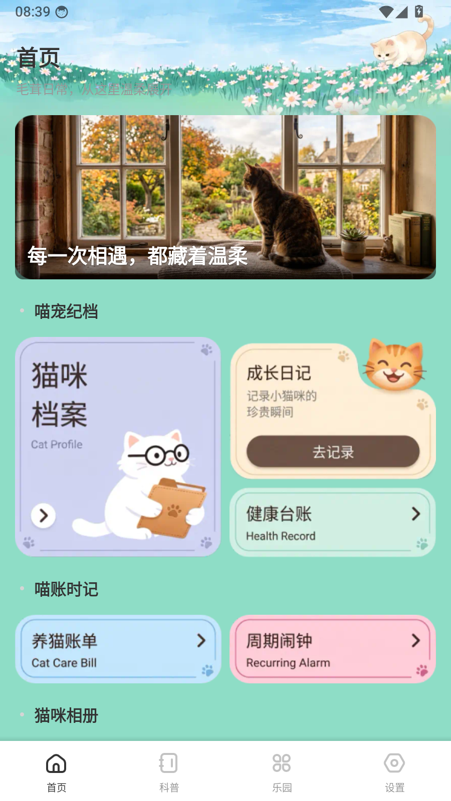 飞菲猫助手