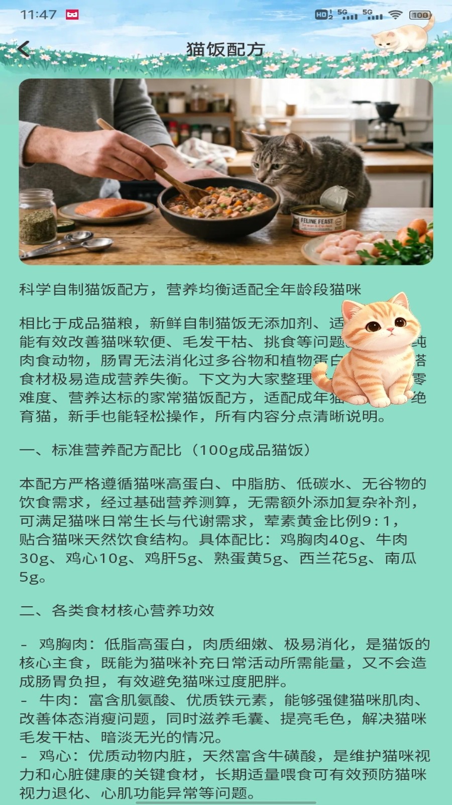 飞菲猫助手