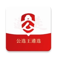 公选王遴选