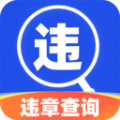 驾驶违章查询软件版