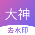 大神去水印APP版