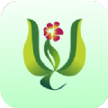 随喜茶叶商城APP最新版