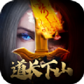 道长请下山游戏版