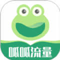呱呱流量监测APP最新版