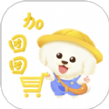 加团团优惠购物APP版