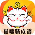 猫咪猜成语app最新版