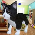 迷你小猫城市生存手机游戏安卓版