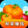 金色菜园游戏红包版