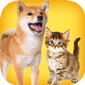 人狗猫交流器下载中文版最新版