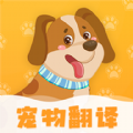 波奇猫语交流器app安卓版