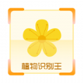 植物识别王APP软件最新版