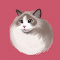 壁纸库APP下载版